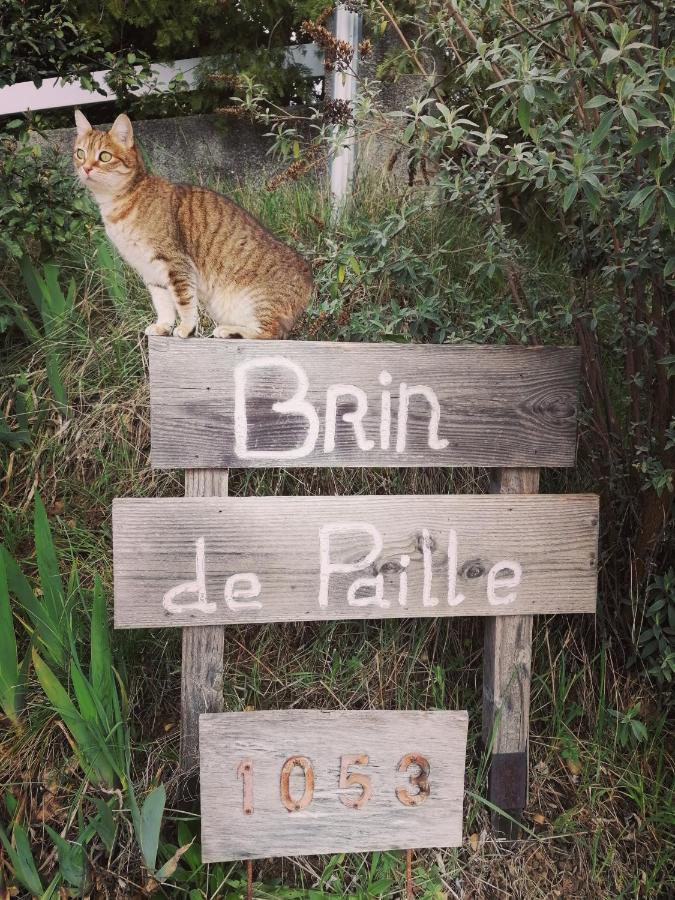 Brindepaille Panzió Vallon-Pont-dʼArc Kültér fotó